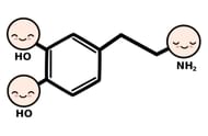 What is dopamine? How does it work and what are the consequences of low dopamine? (Image via Freepik/ Freepik)